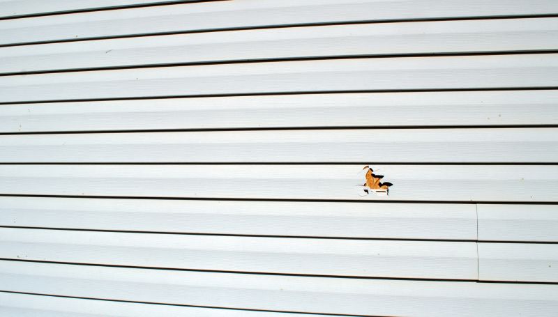 Vinyl Siding Repair Process Image 1