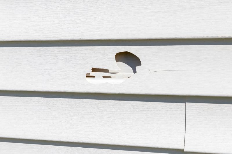 Vinyl Siding Repair Expert Image 1
